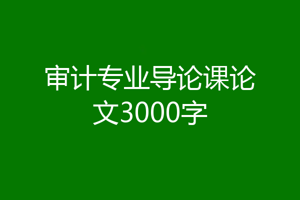 审计专业导论课论文3000字
