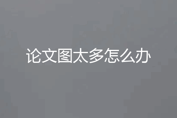 论文图太多怎么办