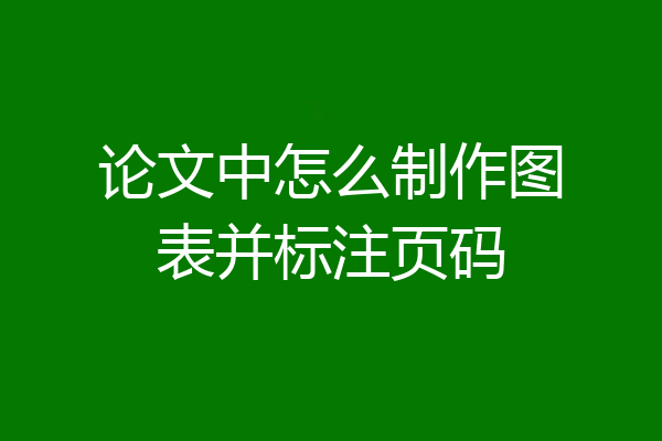 论文中怎么制作图表并标注页码