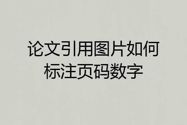 论文引用图片如何标注页码数字