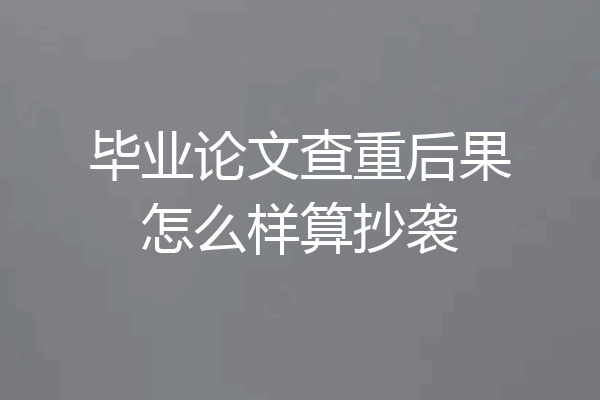 毕业论文查重后果怎么样算抄袭