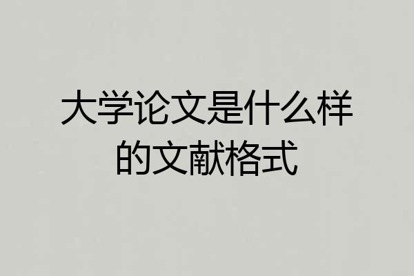 大学论文是什么样的文献格式