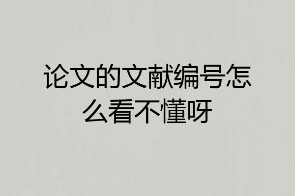 论文的文献编号怎么看不懂呀