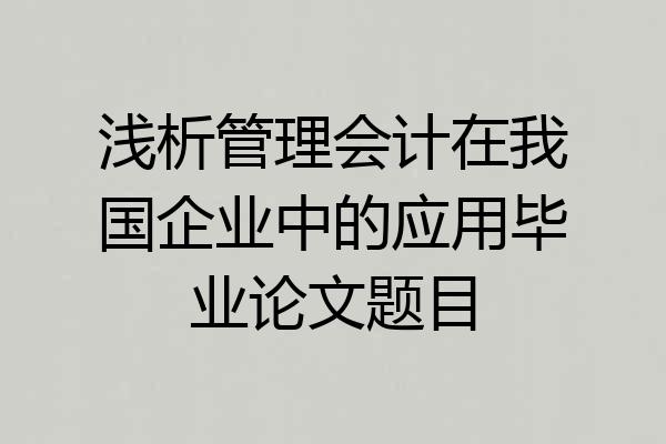 浅析管理会计在我国企业中的应用毕业论文题目