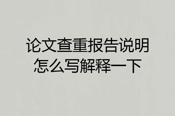 论文查重报告说明怎么写解释一下