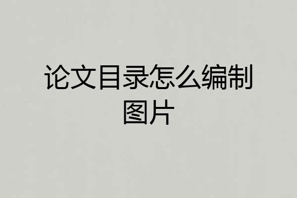 论文目录怎么编制图片