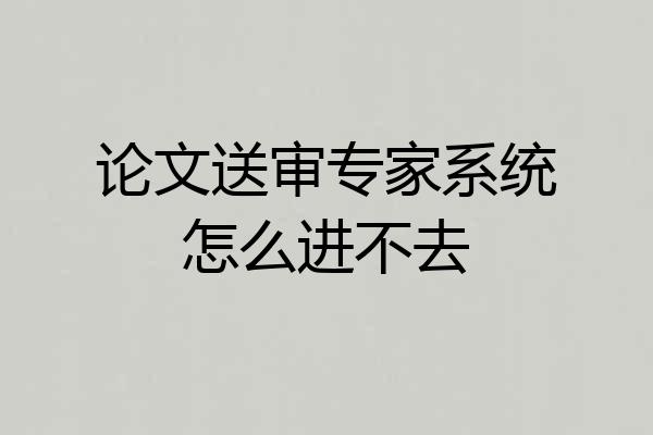 论文送审专家系统怎么进不去