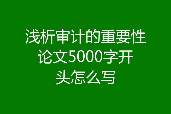 浅析审计的重要性论文5000字开头怎么写
