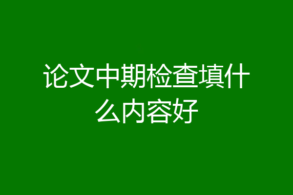 论文中期检查填什么内容好