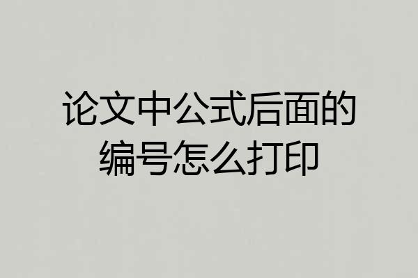 论文中公式后面的编号怎么打印