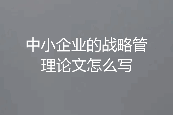 中小企业的战略管理论文怎么写
