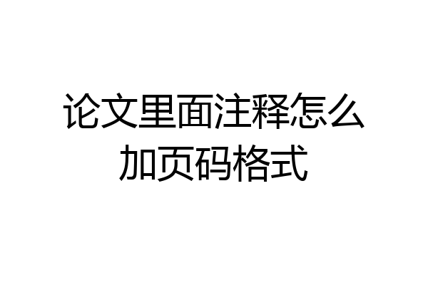 论文里面注释怎么加页码格式