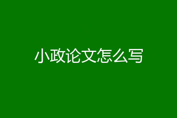 小政论文怎么写