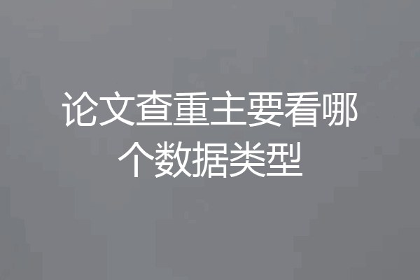 论文查重主要看哪个数据类型