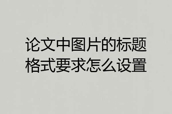 论文中图片的标题格式要求怎么设置