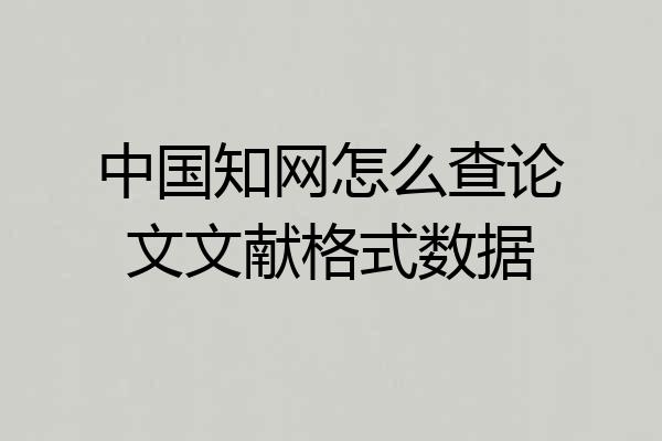 中国知网怎么查论文文献格式数据