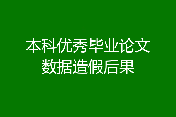 本科优秀毕业论文数据造假后果