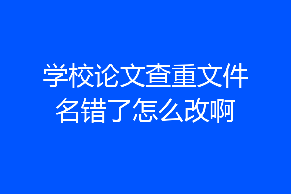 学校论文查重文件名错了怎么改啊