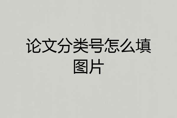 论文分类号怎么填图片