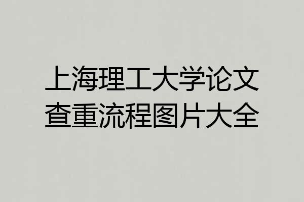 上海理工大学论文查重流程图片大全
