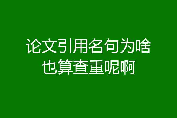论文引用名句为啥也算查重呢啊