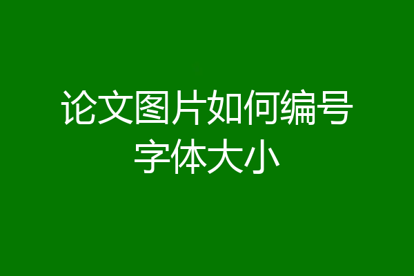 论文图片如何编号字体大小