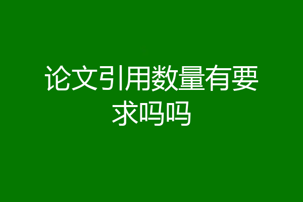 论文引用数量有要求吗吗