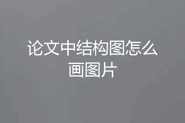 论文中结构图怎么画图片