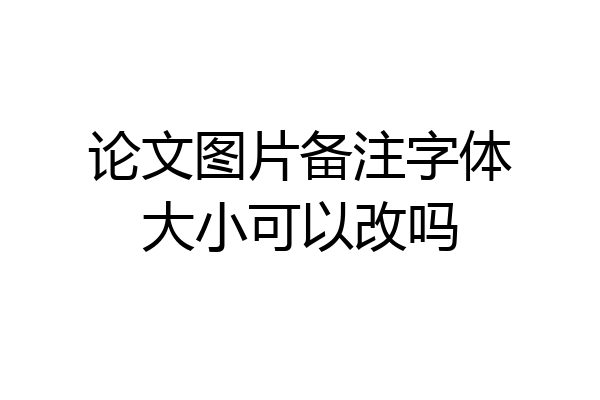 论文图片备注字体大小可以改吗
