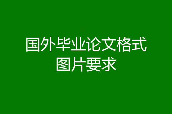 国外毕业论文格式图片要求