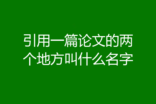 引用一篇论文的两个地方叫什么名字