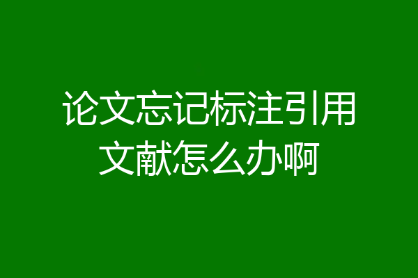 论文忘记标注引用文献怎么办啊