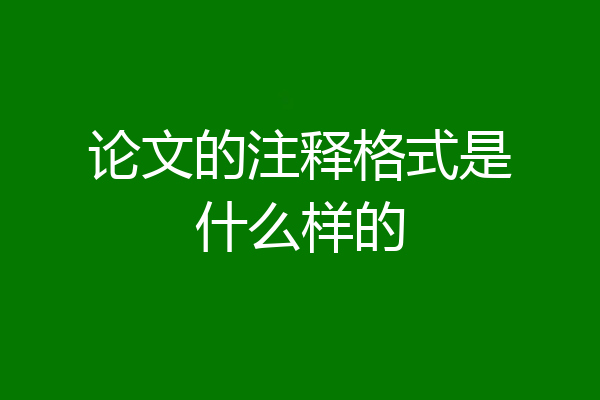 论文的注释格式是什么样的