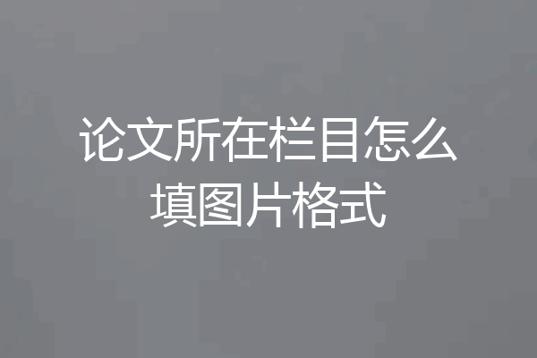 论文所在栏目怎么填图片格式