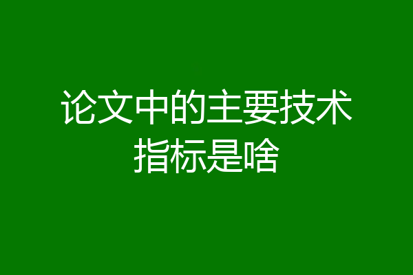 论文中的主要技术指标是啥