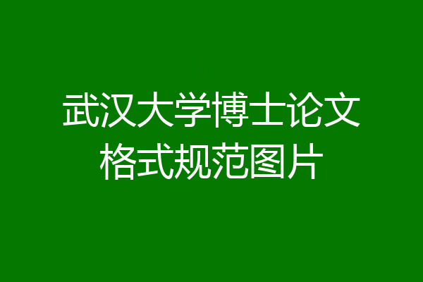 武汉大学博士论文格式规范图片