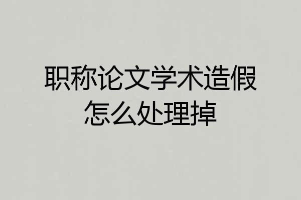 职称论文学术造假怎么处理掉