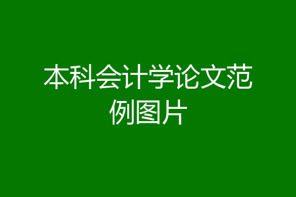 本科会计学论文范例图片