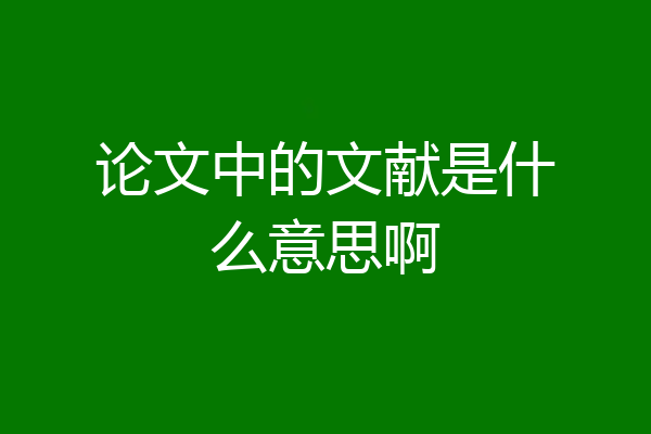 论文中的文献是什么意思啊
