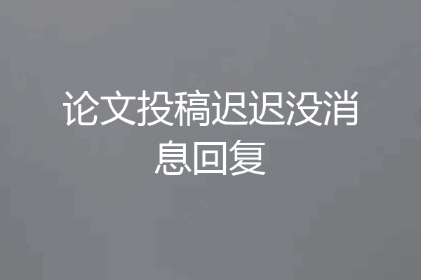 论文投稿迟迟没消息回复