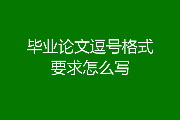 毕业论文逗号格式要求怎么写