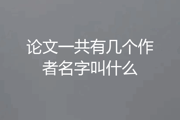 论文一共有几个作者名字叫什么