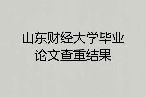 山东财经大学毕业论文查重结果
