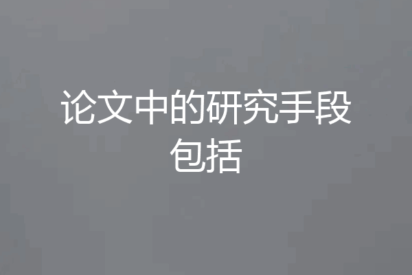 论文中的研究手段包括
