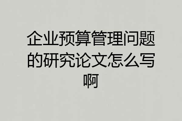 企业预算管理问题的研究论文怎么写啊