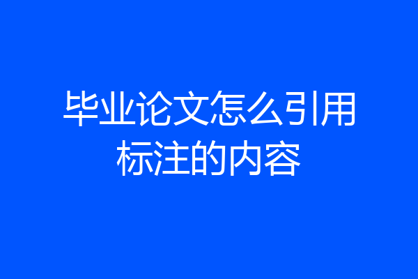 毕业论文怎么引用标注的内容
