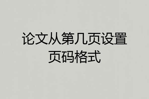 论文从第几页设置页码格式