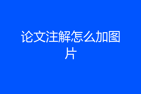 论文注解怎么加图片