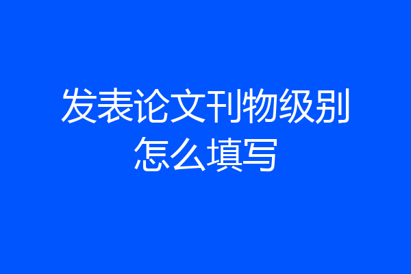 发表论文刊物级别怎么填写