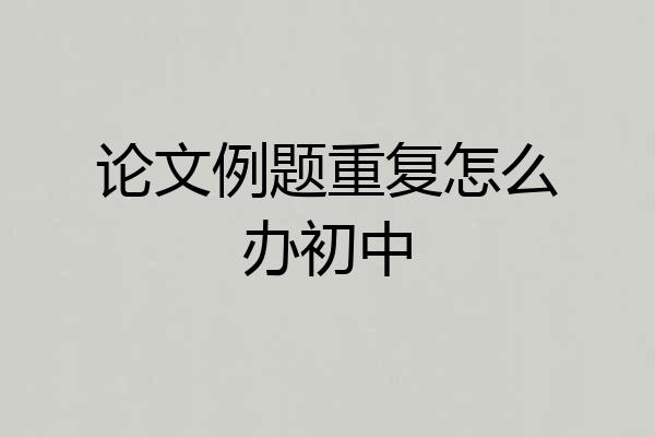 论文例题重复怎么办初中